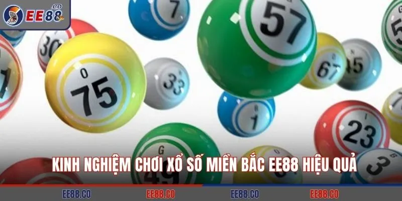Kinh nghiệm chơi xổ số miền Bắc EE88 hiệu quả